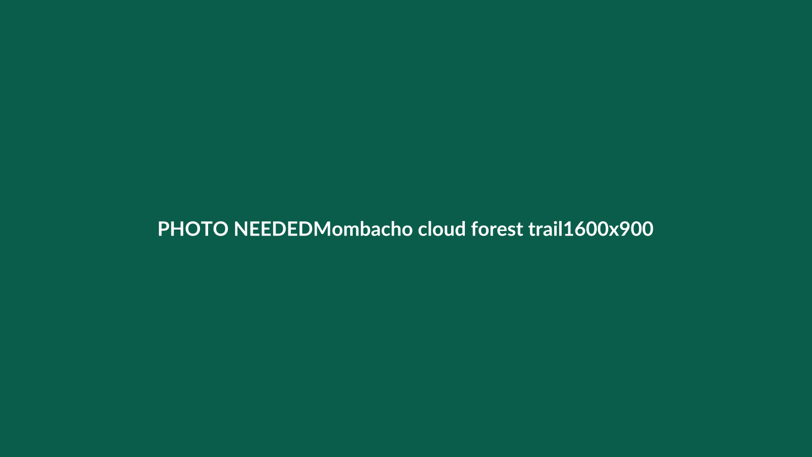 Cloud forest trail on Mombacho Volcano above Granada, Nicaragua