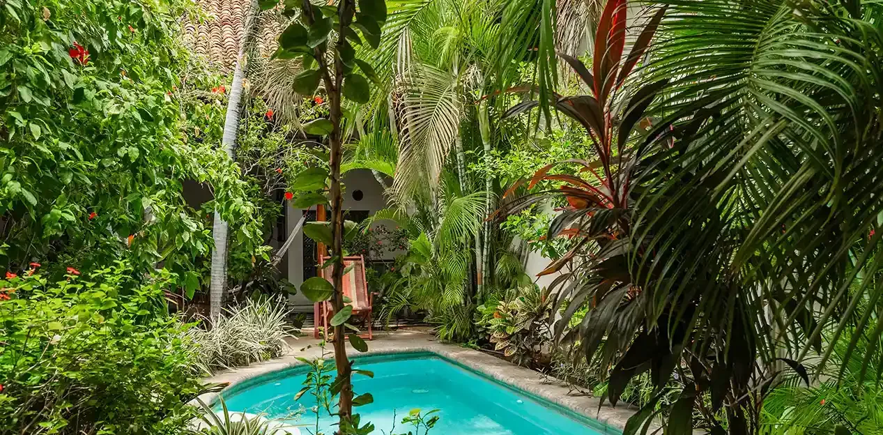 Courtyard pool surrounded by tropical plants in a colonial home in Granada, Nicaragua